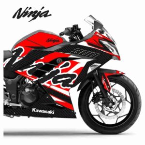 Adesivo Ninja 300 Completo 2013/2024 - Carbon Racing
