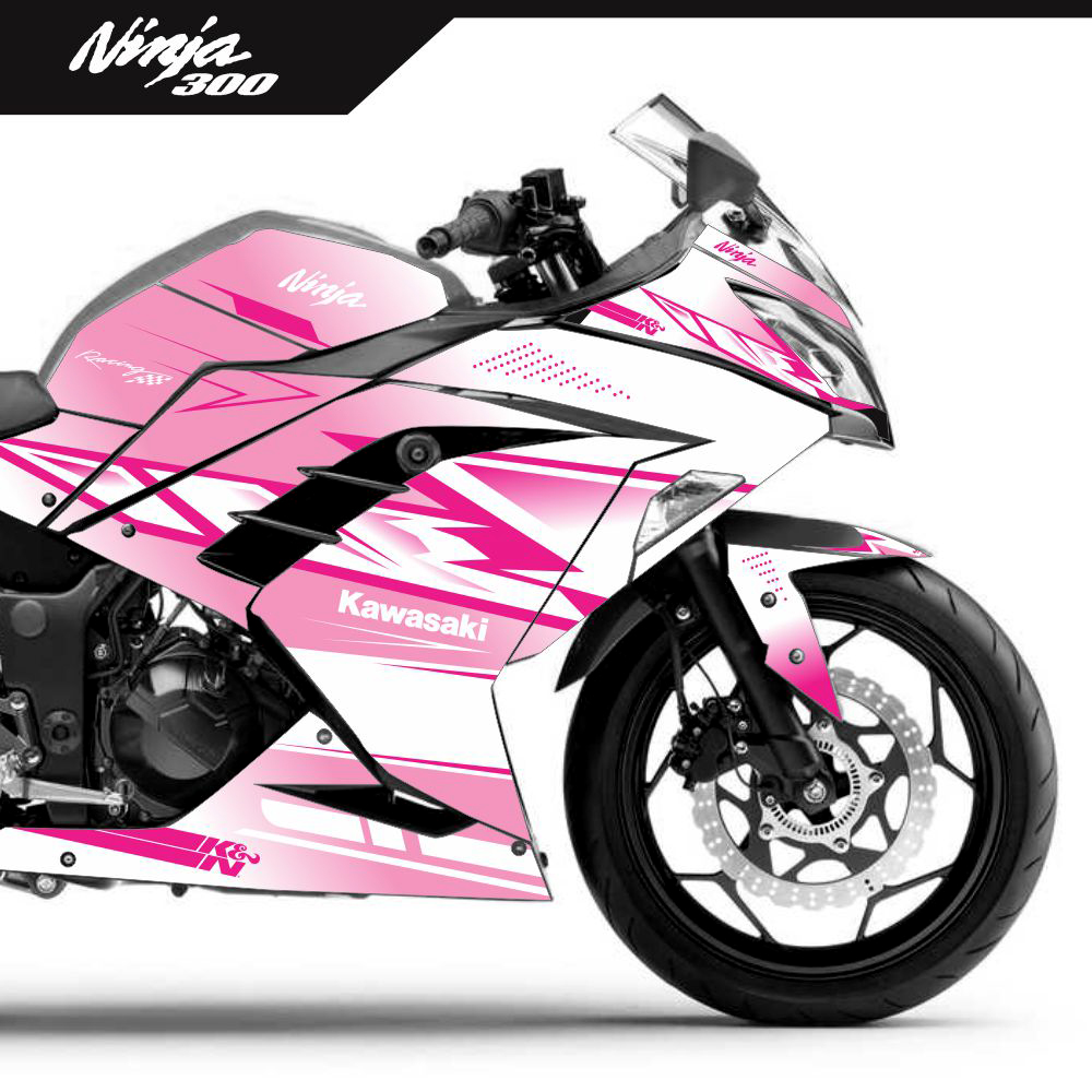 Adesivo Ninja 300 Completo 2013/2024 - Nani Dumas - Imagem 3
