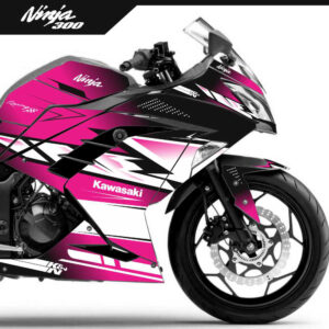 Adesivo Ninja 300 Completo 2013/2024 - Nani Dumas