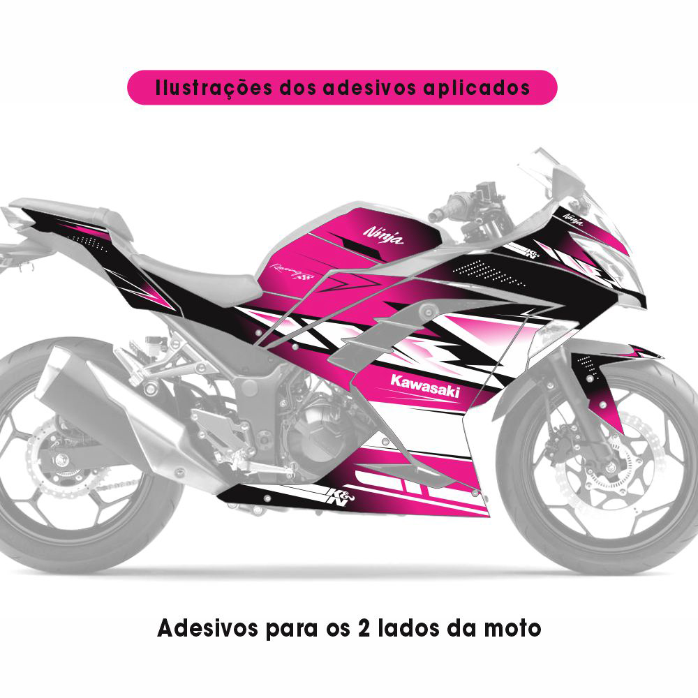 Adesivo Ninja 300 Completo 2013/2024 - Nani Dumas - Imagem 2
