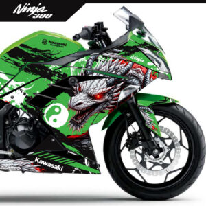 Adesivo Ninja 300 Completo 2013/2024 - Dragon Special Edition