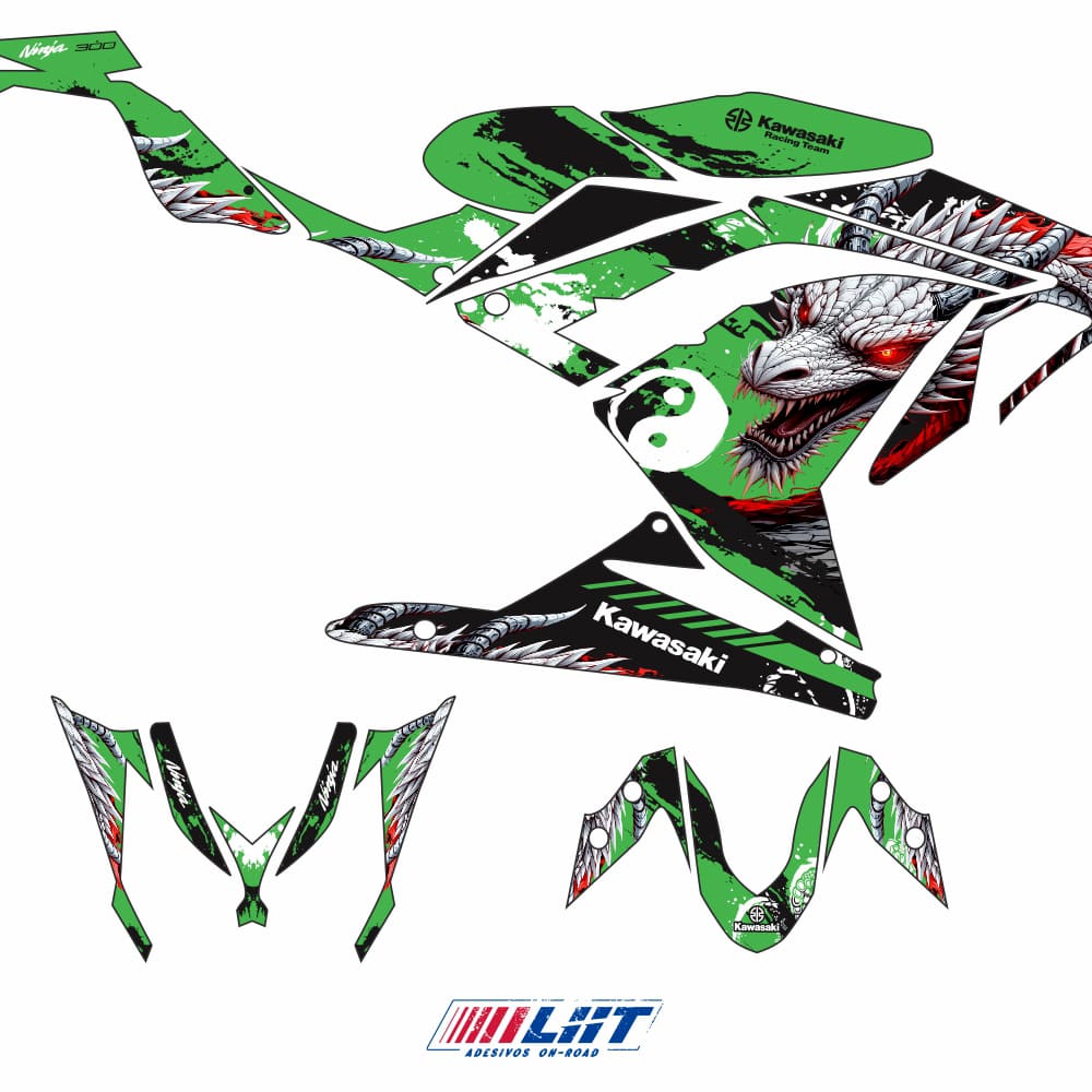Adesivo Ninja 300 Completo 2013/2024 - Dragon Special Edition - Imagem 3